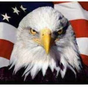 Meet your Posher, Russell